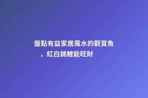 盤點有益家居風水的觀賞魚，紅白錦鯉能旺財